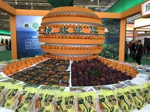 湖南贫困地区优质农产品产销对接活动在京举行，助力初级农产品开拓市场