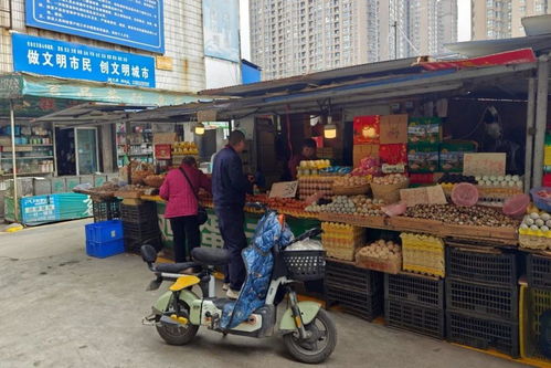 农产品批发市场外迁 趋势、挑战与机遇