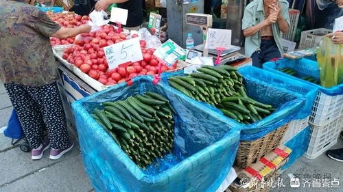 蔬菜价格普遍上涨，回归“家常菜”尚需时日