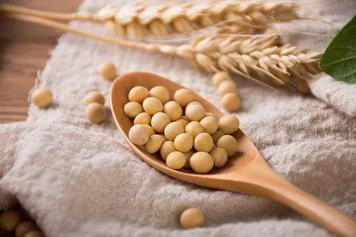 平江 湘赣红沃土上的绿色宝藏——初级农产品之乡