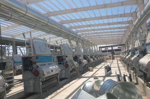 昌吉高新区农产品精深加工产能逆势增长，初级农产品价值跃升新台阶