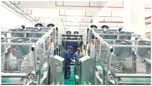 优质电力添动能，会仙镇产业活力满格