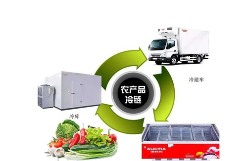 山东省关于启动农产品仓储保鲜设施建设工程申报工作的通知