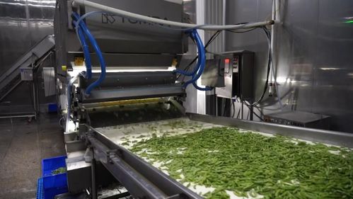 技贸服务精准发力，安丘农产品扬帆出海——新华社聚焦潍坊安丘以专业服务助推优质农产品畅销海外